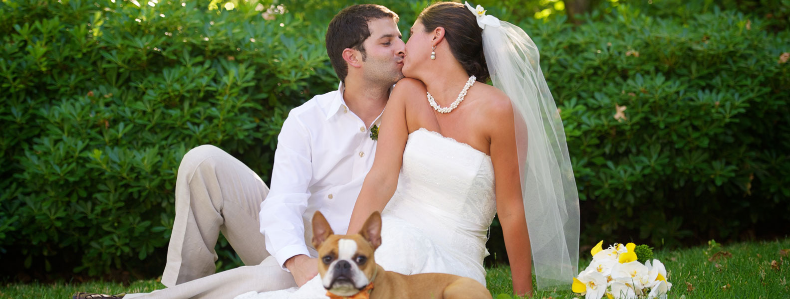 轰炸手机号在线使用